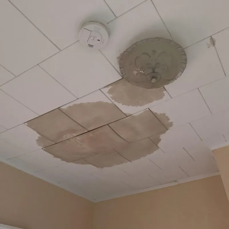 Ceiling Water Damage Repair in Shelburn, IN