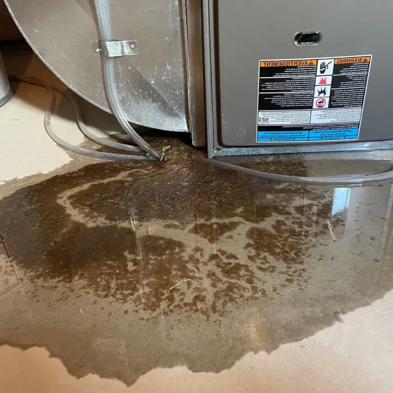 Pipe Burst and Leak Restoration in Shelburn, IN