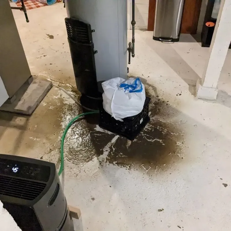 Sewage Backup Cleanup Service in Shelburn, IN